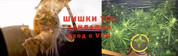 дмт Арсеньев