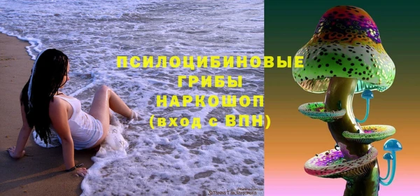 гидропоника Армянск
