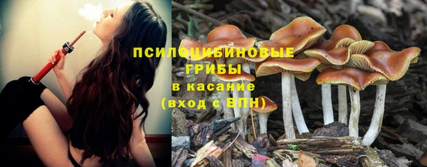 дмт Арсеньев